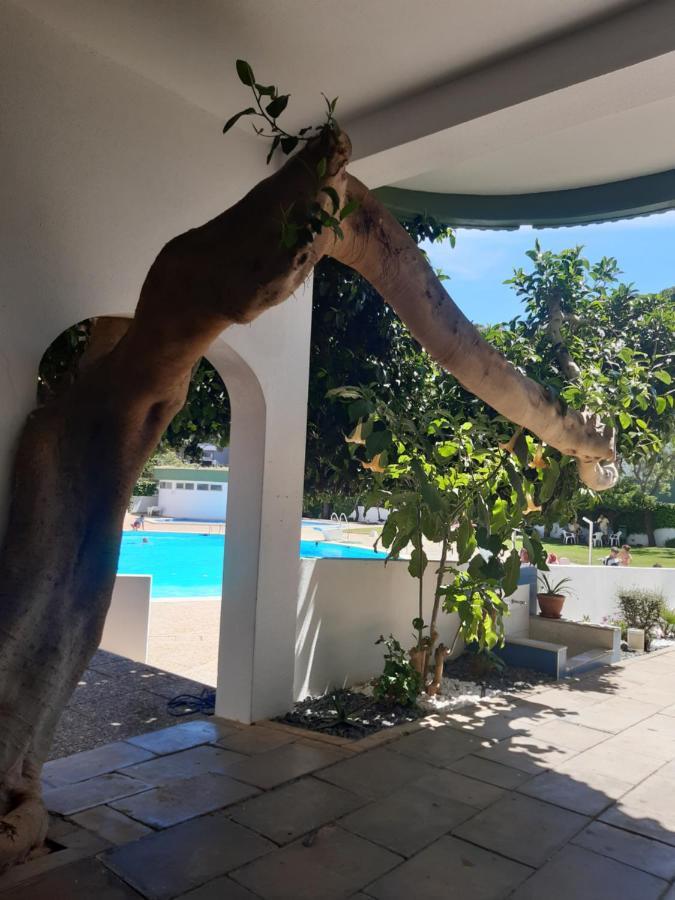 Apartamento Da Avo Te - Em Frente A Praia C Piscina Портиман Экстерьер фото